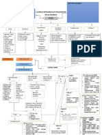 Laporan Pendahuluan Intrapartum