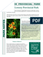 Brown Lowery Park Notes