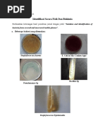 tugas 3 biotek