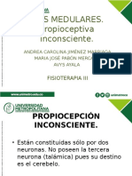 Propioceptiva Inconsciente