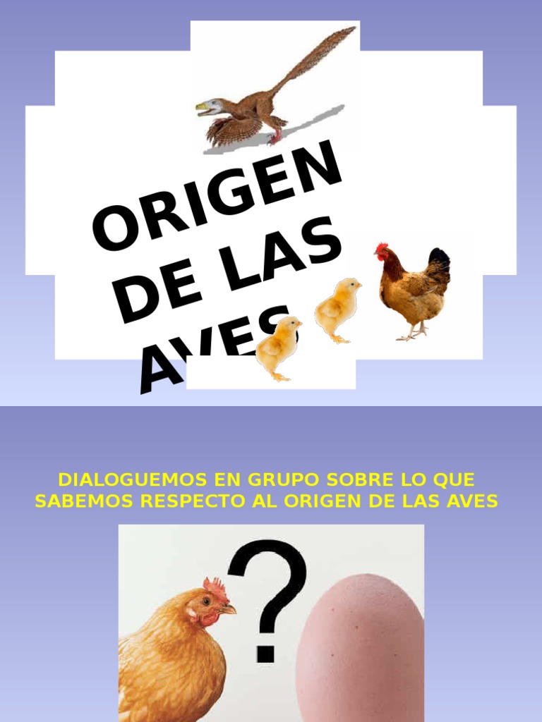 Origen y evolución de las aves | PDF | Aves | Pluma
