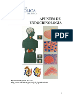 1.-Apuntes-de-Endocrinología