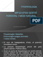 Fitopatologia Forestal