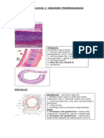 Histología II Imágenes Primera Unidad 2016