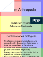 arthropoda.ppt