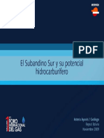 102877522-Sub-Andino-Sur-y-Su-Potencial-Hidrocarburifero.pdf
