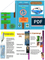 Leaflet Jumantik