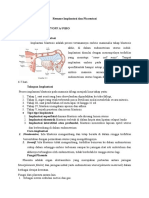 Resume Implantasi Dan Placentasi