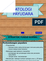 Block Reproduksi Patologi Payudara