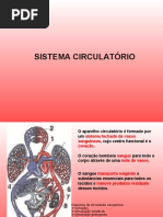 SISTEMA CIRCULATÓRIO
