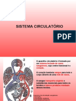 Sistema Circulatório