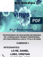 Virus Iset