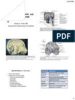 6 - Hypothalamus & Pituitary Gland