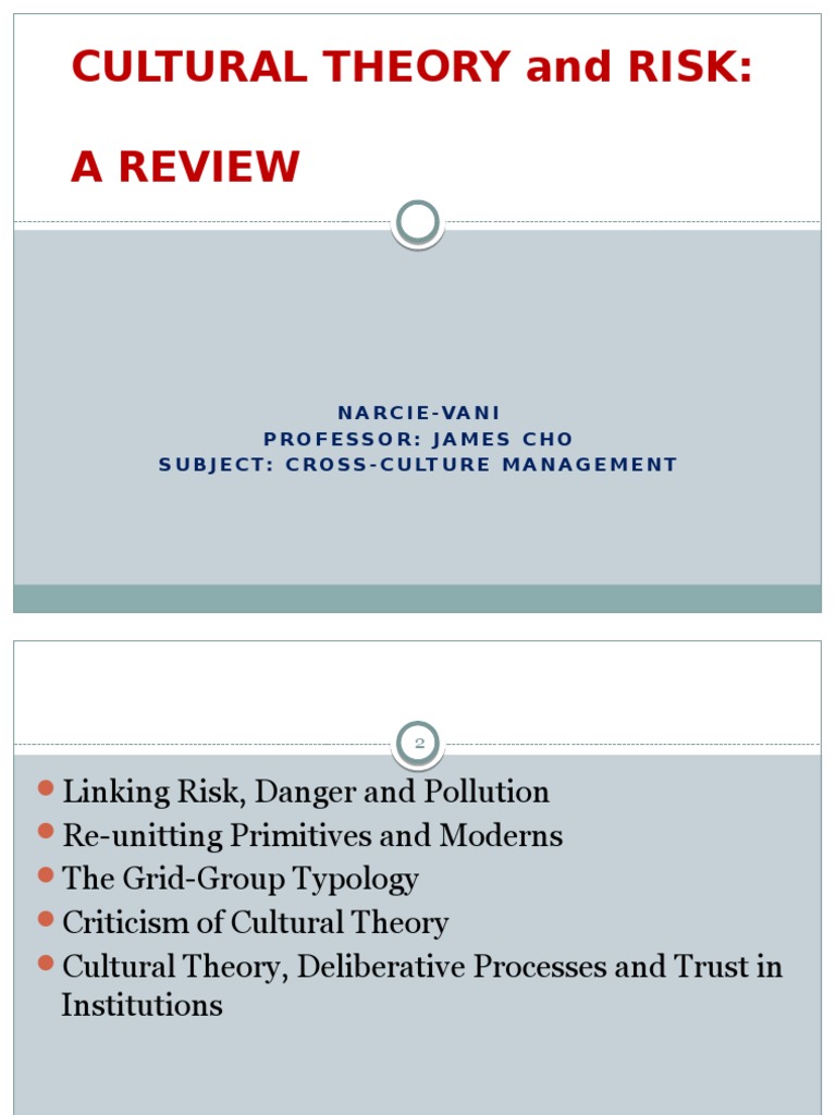 Cultural Theory of Risk Analysis | PDF | Collectivism | Social Group