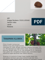 Rempah Kluwek Semester 4