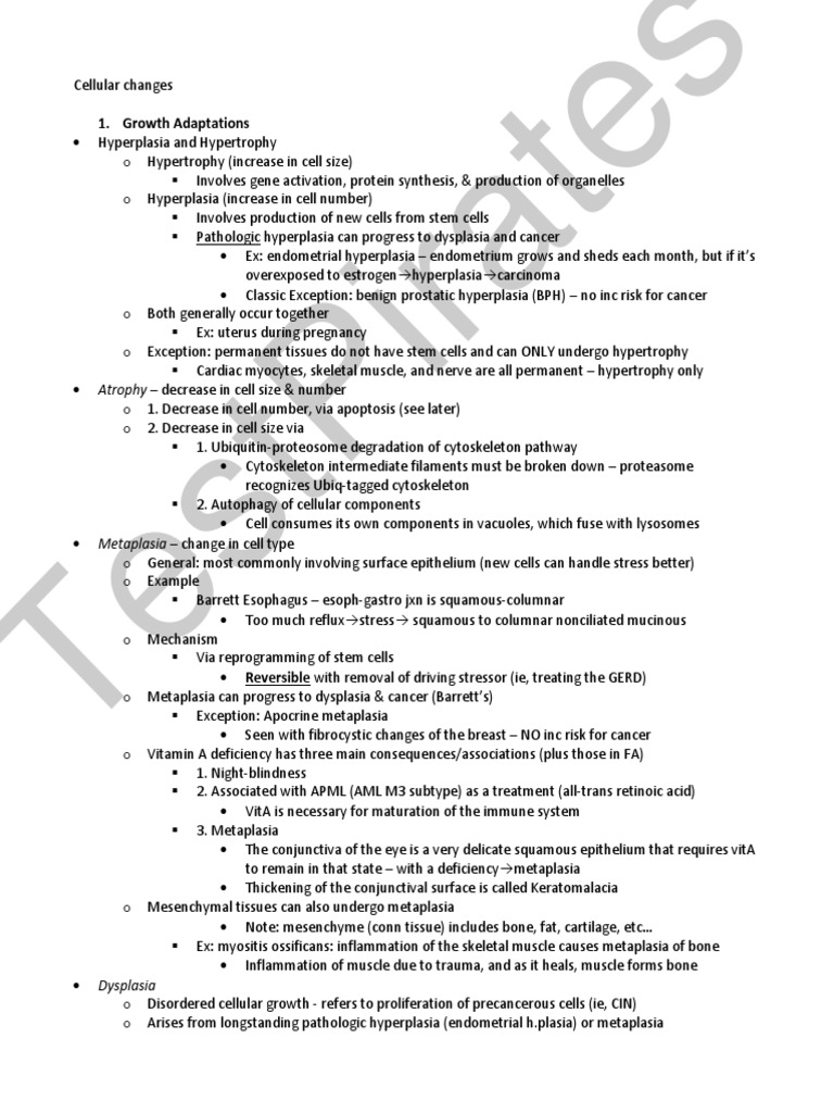 Pathoma Notes Part 1 - TP | PDF | T Helper Cell | T Cell