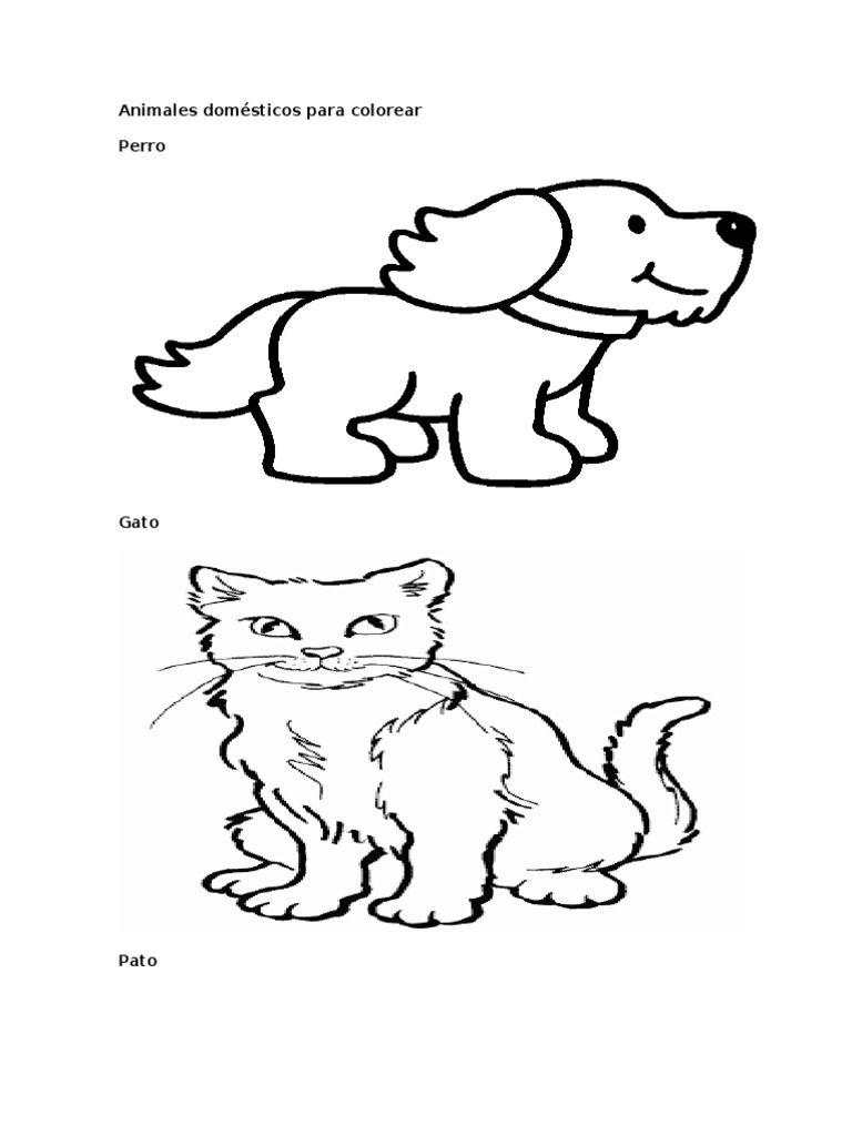 Animales Domésticos para Colorear | PDF, image size:768x1024