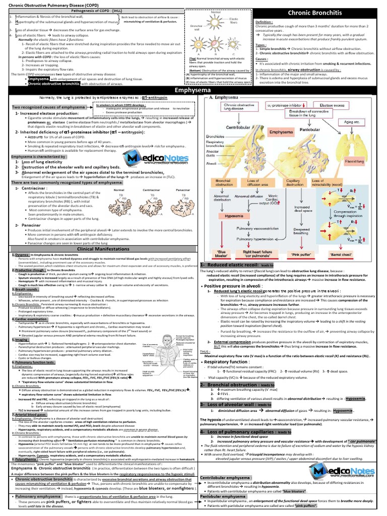 Chronic Obstructive Pulmonary Disease | PDF | Chronic Obstructive ...