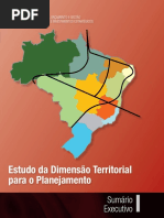 ppa - d territorial Volume I – Sumário Executivo.pdf