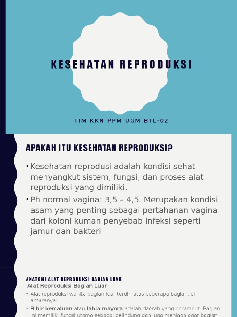 Penyuluhan Organ Reproduksi 2 Kkn