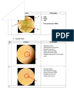 HASIL PENGAMATAN Lichene