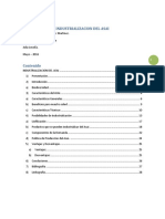 Características Del ASAI Un Fruto para Industrializar.