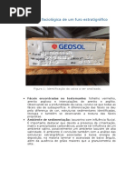 Análise Faciológica de Um Furo Estratigráfico