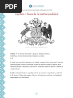 bases de la isntitu. ficha.pdf