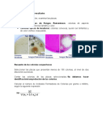 Interpretación de los resultados.docx