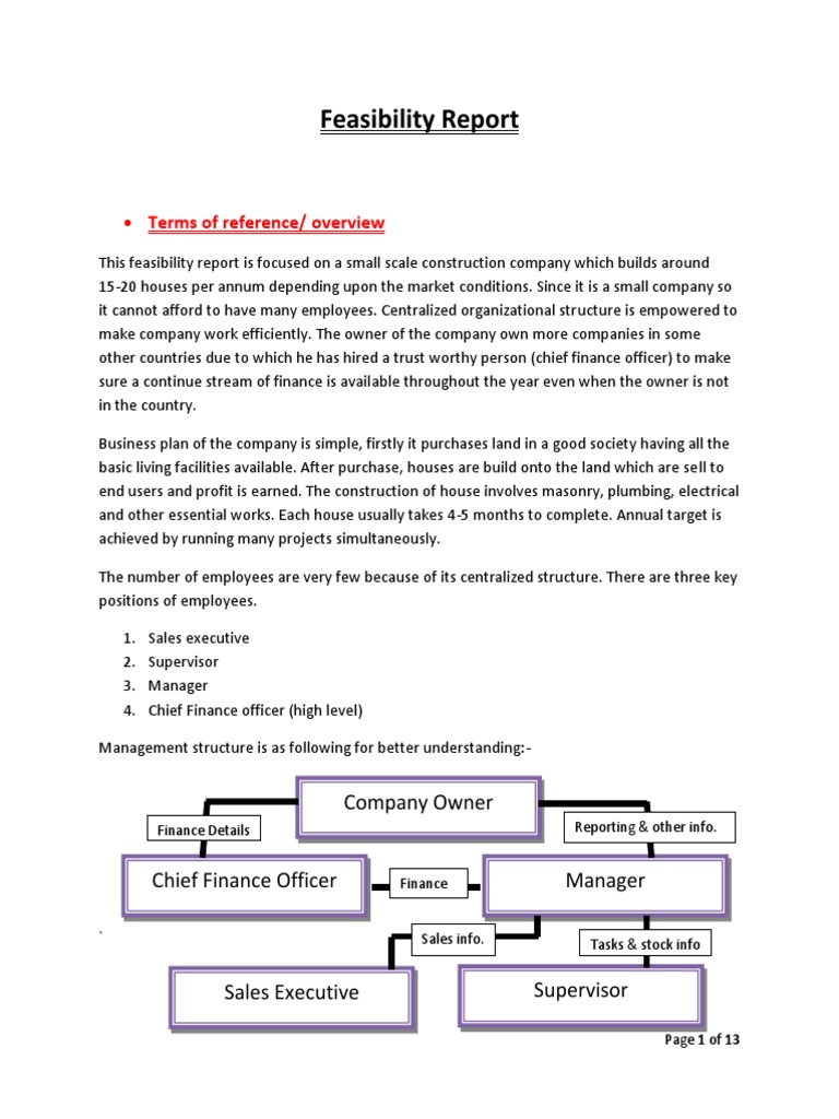 Small Scale Construction Feasibility Report | PDF | Invoice | Inventory
