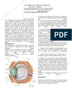 Practica Diseccion Del Ojo de Una Vaca Grado Octavo Iete 2017