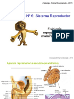 Present Ac i on Seminar i Ore Product Or