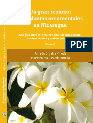 Ornamentales PDF | PDF | Plantas | Arboles