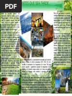 afiche medio ambiental