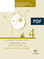 Problemas de Atencion y Concentracion.pdf