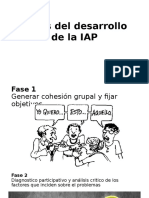 Fases Del Desarrollo de La IAP