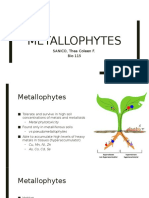 115 - Metallophytes