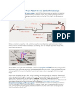 Pengertian Las GTAW Argon Adalah Beserta Gambar Peralatannya