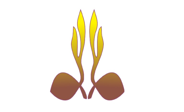 Cara Menggambar Tunas Kelapa - Rahman Gambar