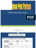 Pendarahan Post Partum