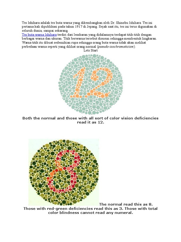 Interpretasi Tes Ishihara | Qualia