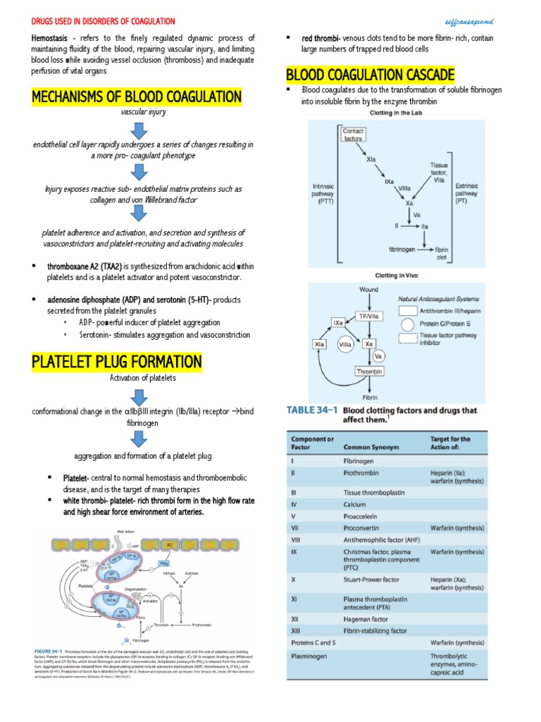 epub electron cyclotron heating of