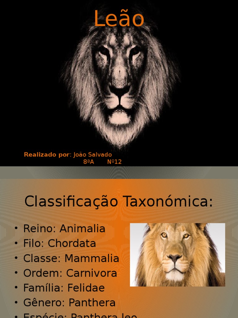 Leão | PDF, image size:768x1024