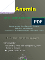 Anemia I