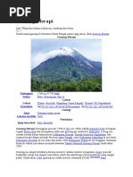 Download Gunung Merapidocx by aishamam SN343520039 doc pdf