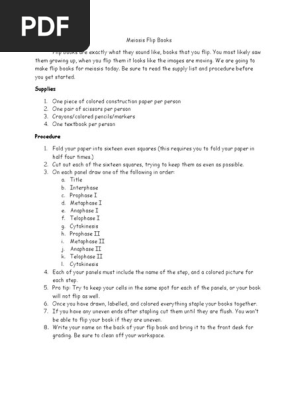 meiosis flip book directions