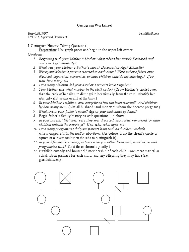 Genogram Instructions.306150702 PDF | PDF | Substance Abuse | Parent