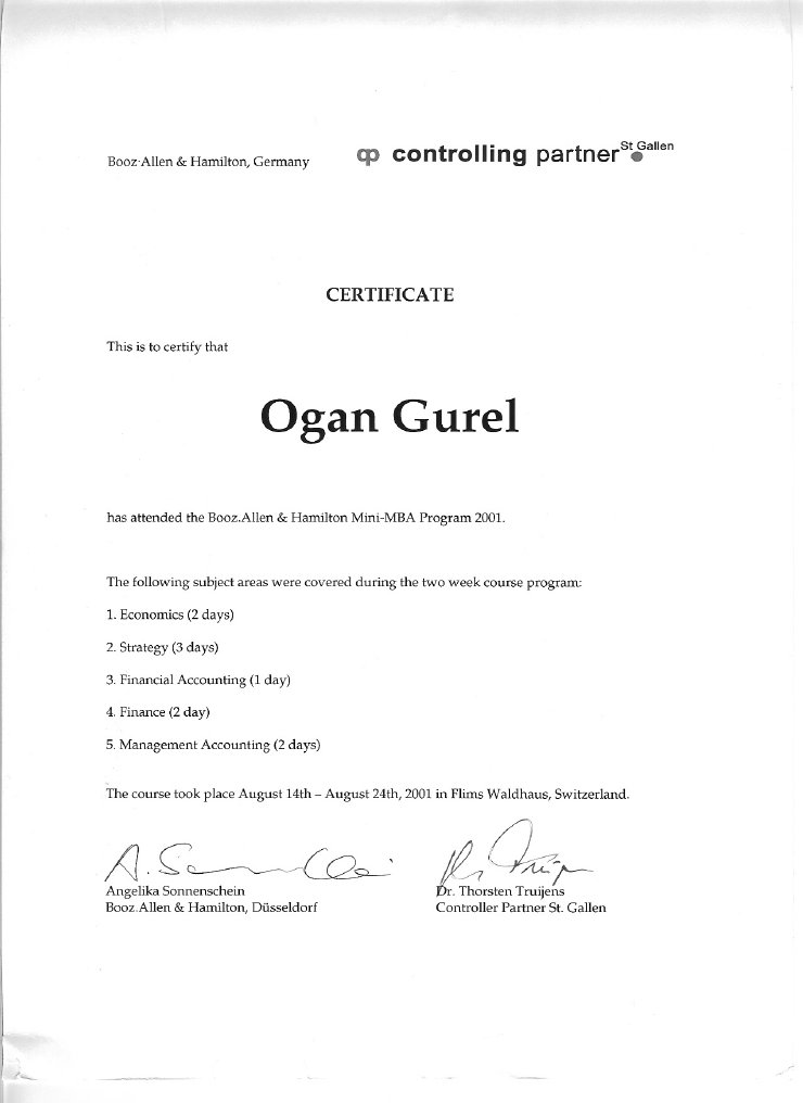 Mini MBA Certificate | PDF