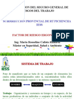 RIESGO ERGONOMICO.ppt