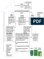 Mapa Conceptual Ruidos